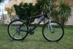 storck1.jpg