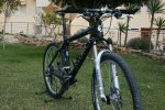 storck2.jpg