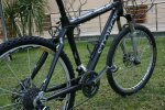 storck3.jpg