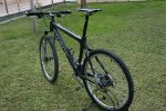 storck4.jpg