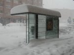 nieve22.jpg