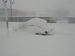 nieve23.jpg