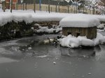 nieve27.jpg