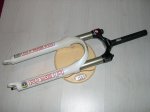 peso RS Reba WC reparada.JPG