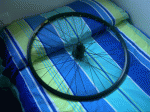 317(2).gif