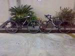 21032007031-reducido.jpg