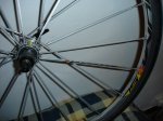 DSC09035.jpg