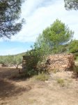 CIMG2325 (Copiar).JPG