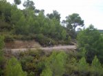 CIMG2346 (Copiar).JPG
