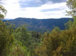 DSC_0029.jpg