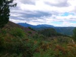 DSC_0034.jpg