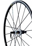 mavic (Small).jpg