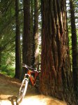 BICI%u00252520PECH%25C3%2593N%2520D%25C3%258DA%25207%2520-%2520SEPTIEMBRE%25202012%2520071.JPG