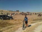 IMG-20120902-00040.jpg
