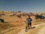 IMG-20120902-00041.jpg