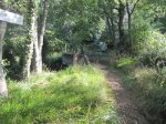 IMG_0871.JPG