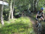 IMG_0877.JPG