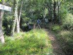IMG_0880.JPG