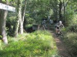 IMG_0882.JPG