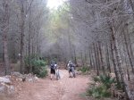 estiu12 012_1024x768.jpg