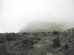 estiu12 068_1024x768.jpg