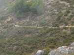 estiu12 103_1024x768.jpg
