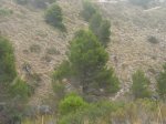 estiu12 129_1024x768.jpg