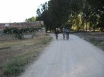 SDC11358.JPG