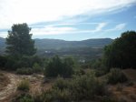 SDC11364.JPG