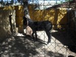SDC11402.JPG