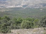 SDC11425.JPG