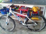 movil 436.jpg