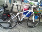 movil 439.jpg