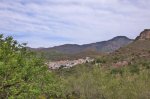 P1050165_800x533.jpg