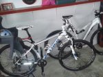 movil 036.jpg