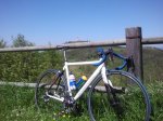 2012-05-23 12.50.32.jpg