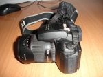 DSC08737.jpg