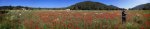 xx_MG_9505_Panorama.JPG