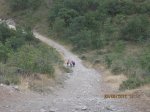 IMG_2527.JPG