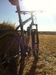 seven al sol.jpg