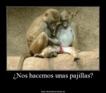 pajillas_877x768.jpg
