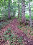 20120904_162313.jpg