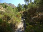 hacia la xau por barranco.JPG