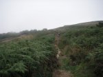 PICT0155.jpg