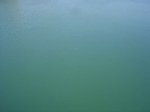 DSC00044_800x600.jpg