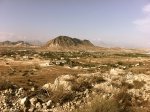 IMG_1565.jpg
