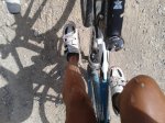 2012-08-09 11 32 29.jpg
