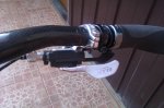 IMAG0282.jpg