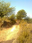 Imagen1346.jpg