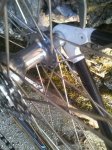 IMG-20120905-WA0001.jpg